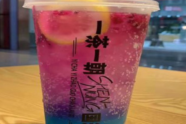 一茶一朝