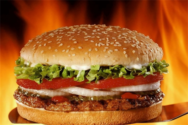 【苏贺汉堡炸鸡店】