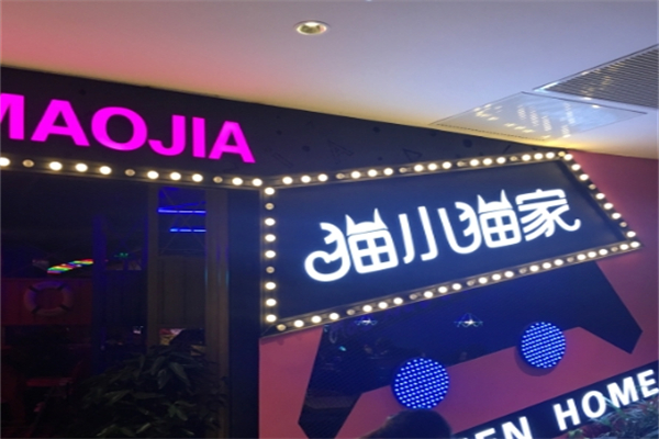 【猫小猫肉蟹煲】