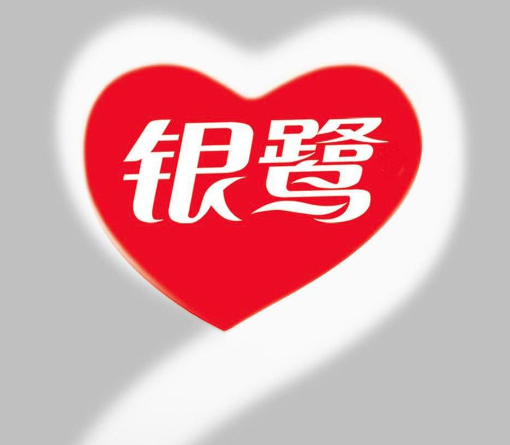 银鹭八宝粥