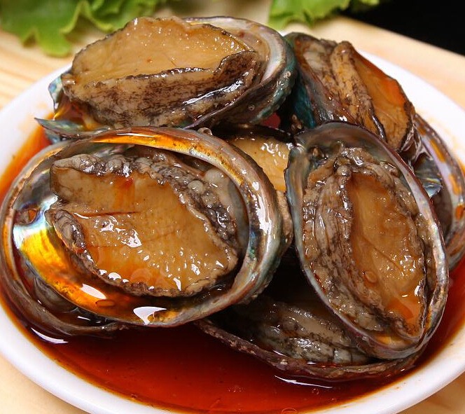 鱼陶陶