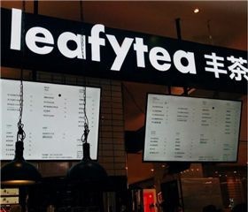 leafytea丰茶