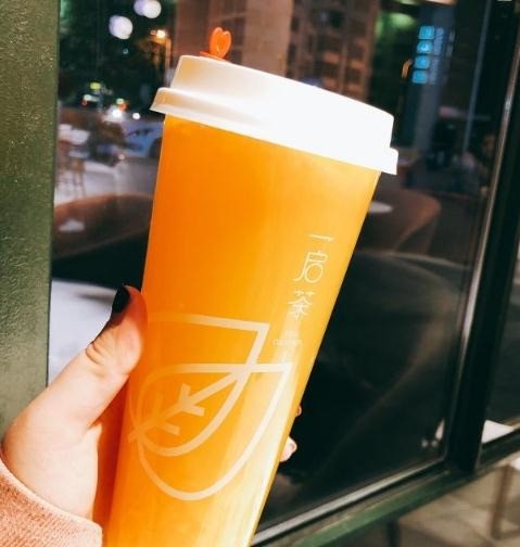 一启茶