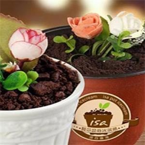 艺莎盆栽冰淇淋