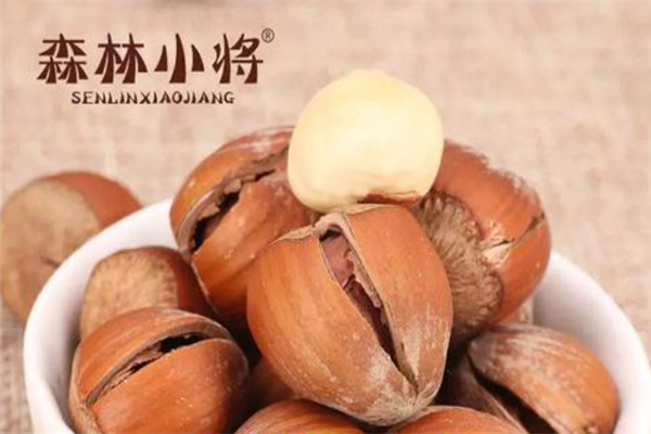 【森林小将坚果】