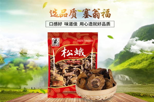 【塞翁福干货】