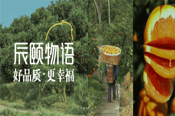 辰颐物语