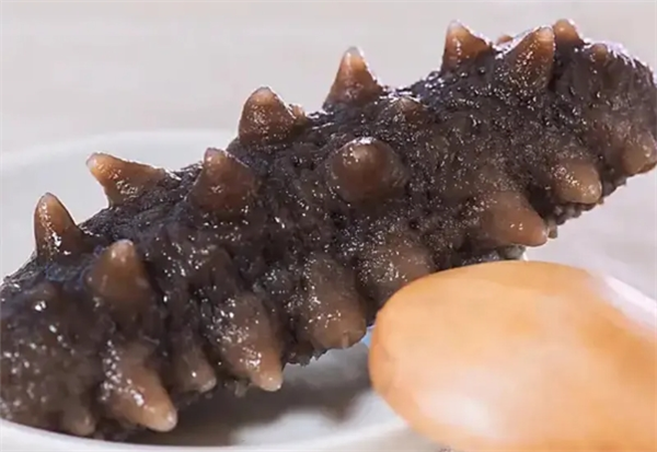 【参小妹海参】