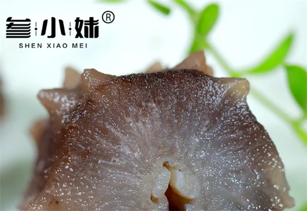 【参小妹海参】