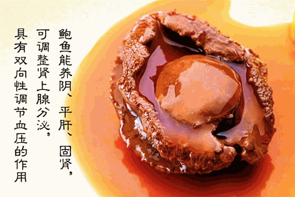 鲍鱼哥