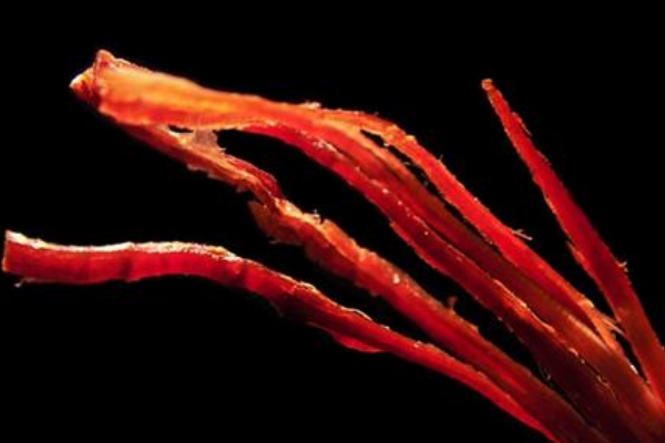 阿希达牛肉干 阿希达牛肉干