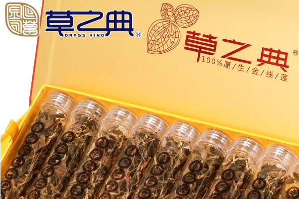 草之典原生金线莲