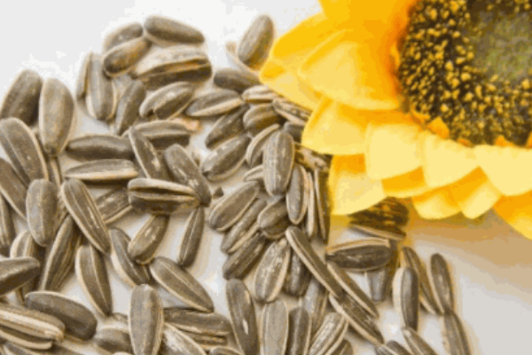 【金傻子瓜子】