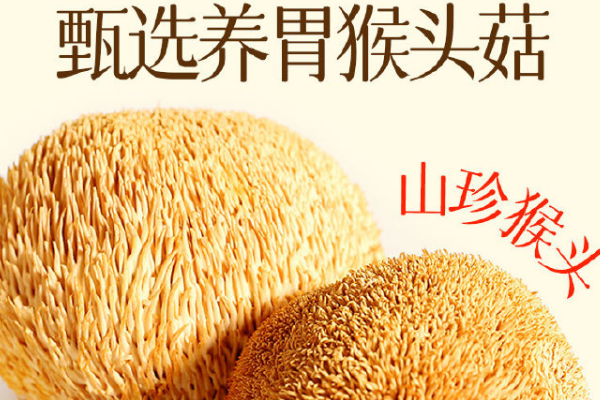 【江中猴头菇】