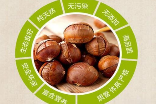 【金栗园食品】