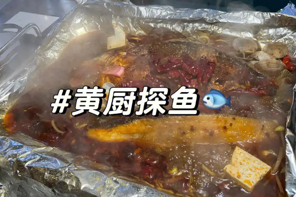 【黄厨探鱼】
