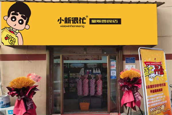小新很忙量贩零食店