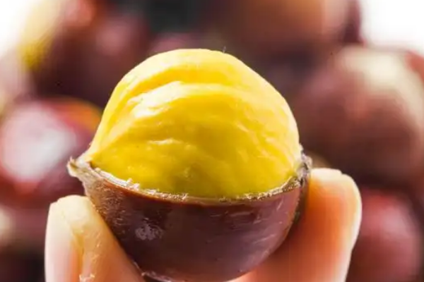 【憨栗子】