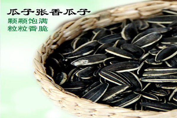 【瓜子张食品】