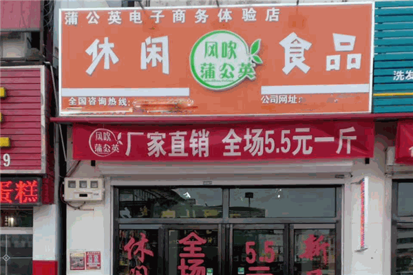 【风吹蒲公英休闲食品】