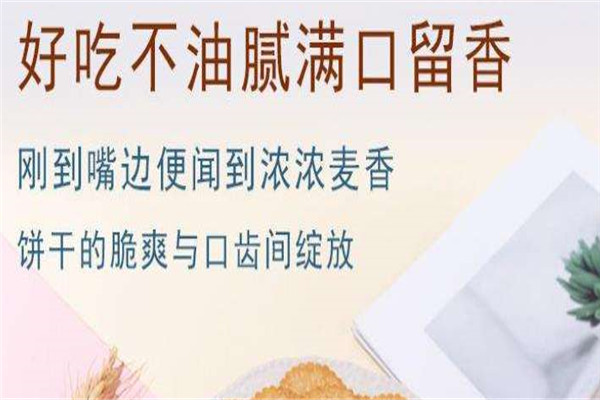 【丰乐佳休闲食品】