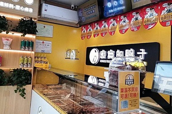 【寂寞的鸭子】