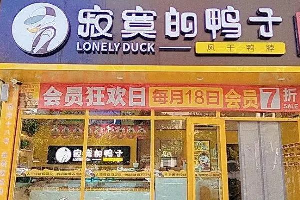 【寂寞的鸭子】