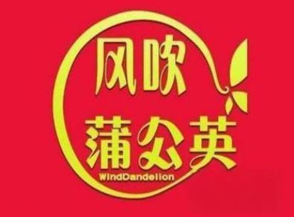 风吹蒲公英休闲零食