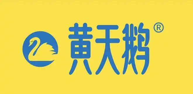 黄天鹅鸡蛋