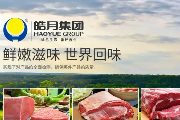 【皓月牛肉】