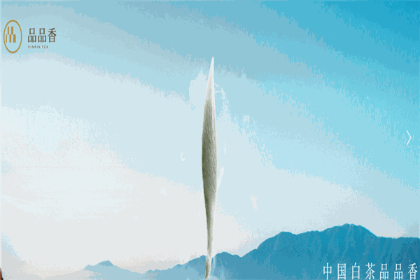 【品品香白茶】