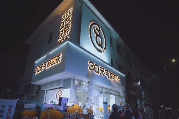 3q元气鲜奶茶加盟