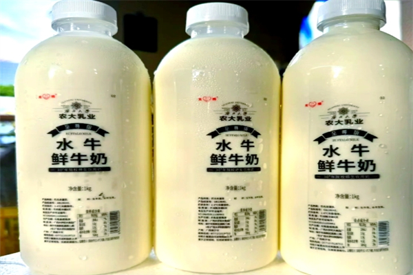 壮牛水牛奶 壮牛水牛奶