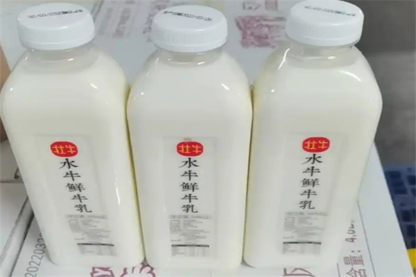 壮牛水牛奶 壮牛水牛奶