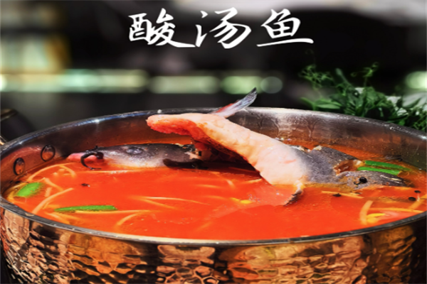 【都匀苗家酸汤鱼】