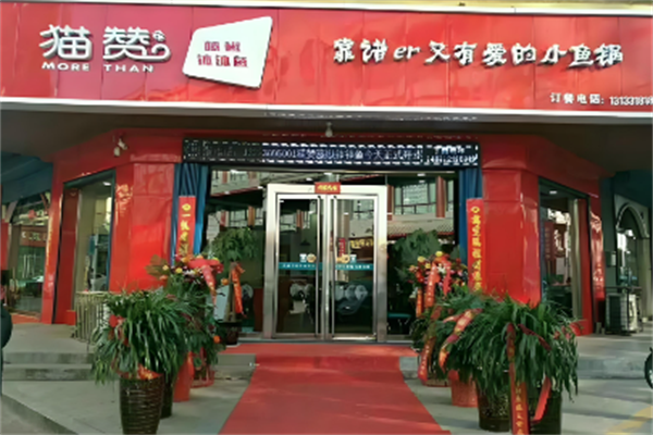 【猫赞钵钵鱼】