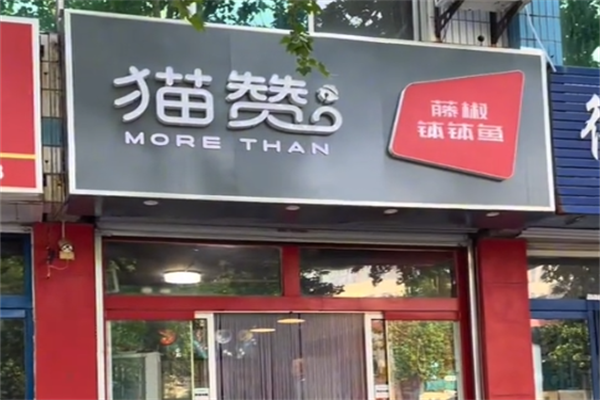 【猫赞钵钵鱼】