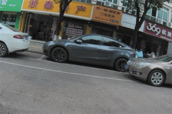 竹一隐叫花鸡 竹一隐叫花鸡