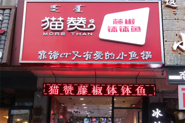 【猫赞钵钵鱼】