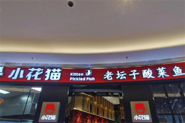 小花猫酸菜鱼