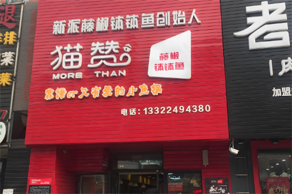 【猫赞钵钵鱼】