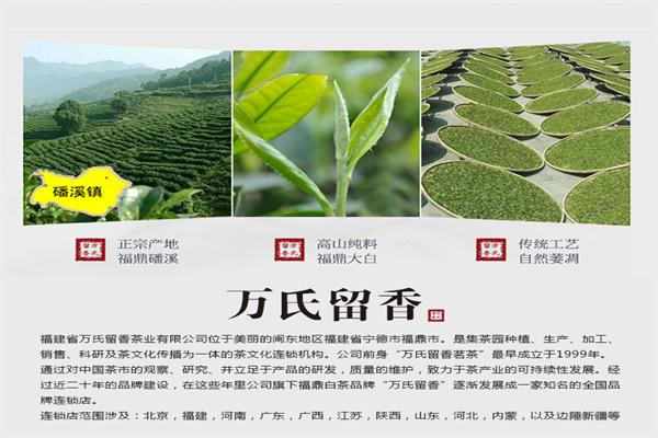 万氏留香 万氏留香