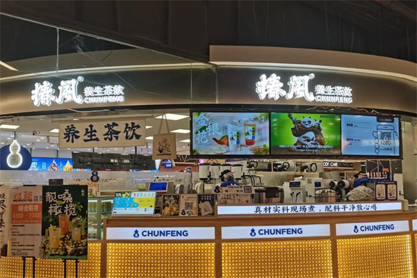 【椿风·养生茶饮】