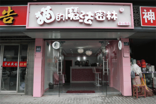 猫的魔法密林 猫的魔法密林