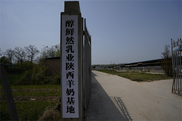 【醇鲜然乳业】