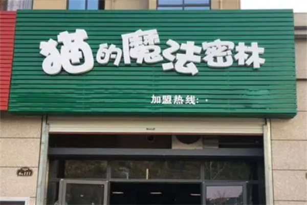 猫的魔法密林 猫的魔法密林