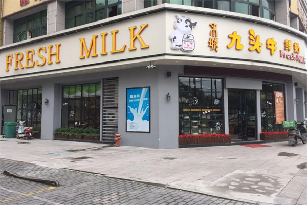 【九头牛鲜奶】