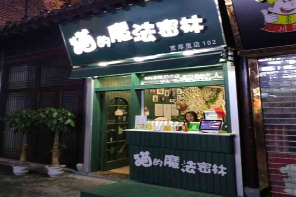 猫的魔法密林 猫的魔法密林