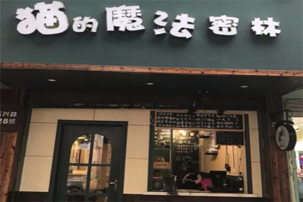 猫的魔法密林 猫的魔法密林