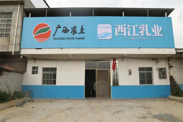 【西江乳业】